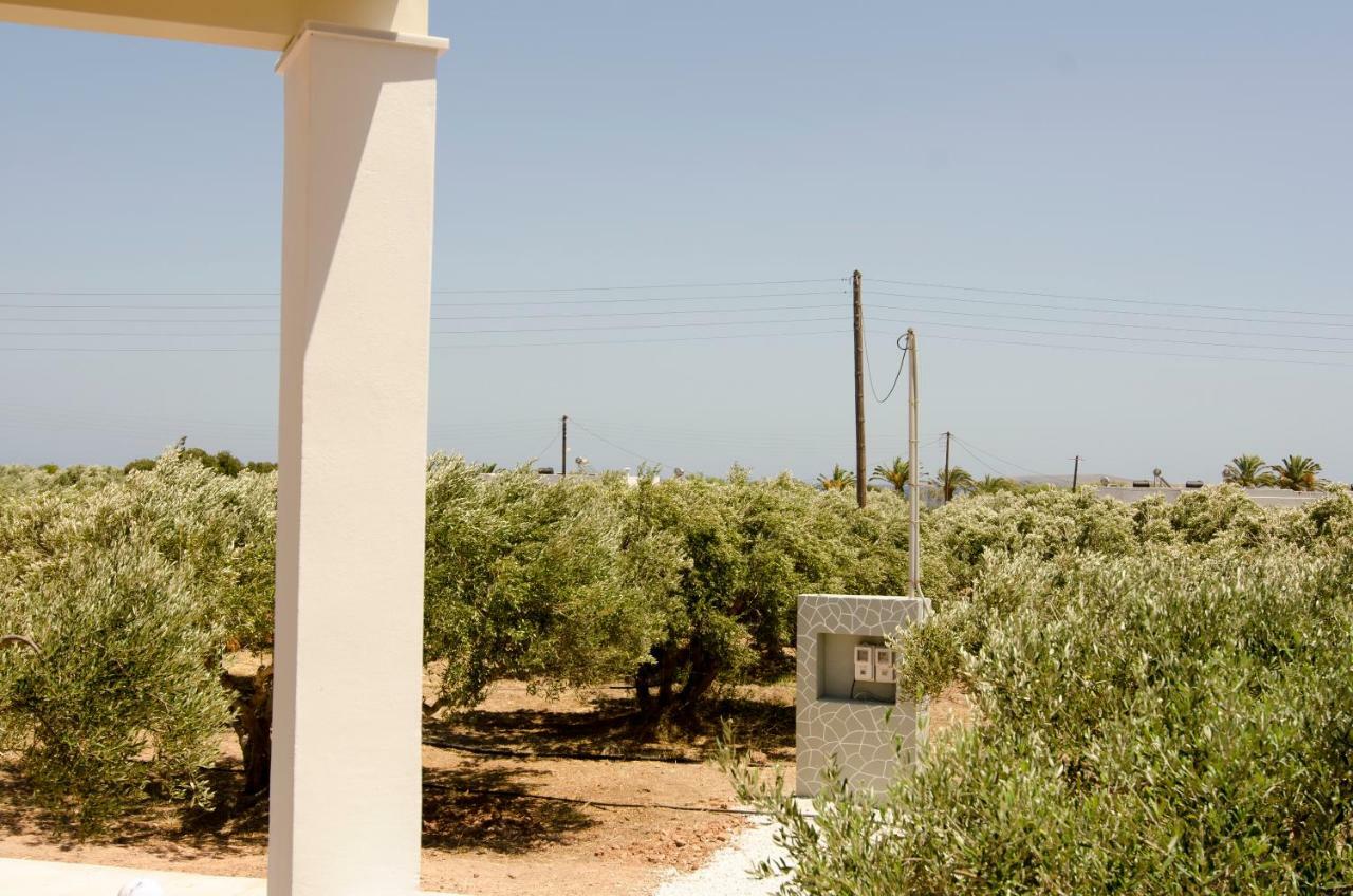 Giorgos Villa Palekastro Exterior photo